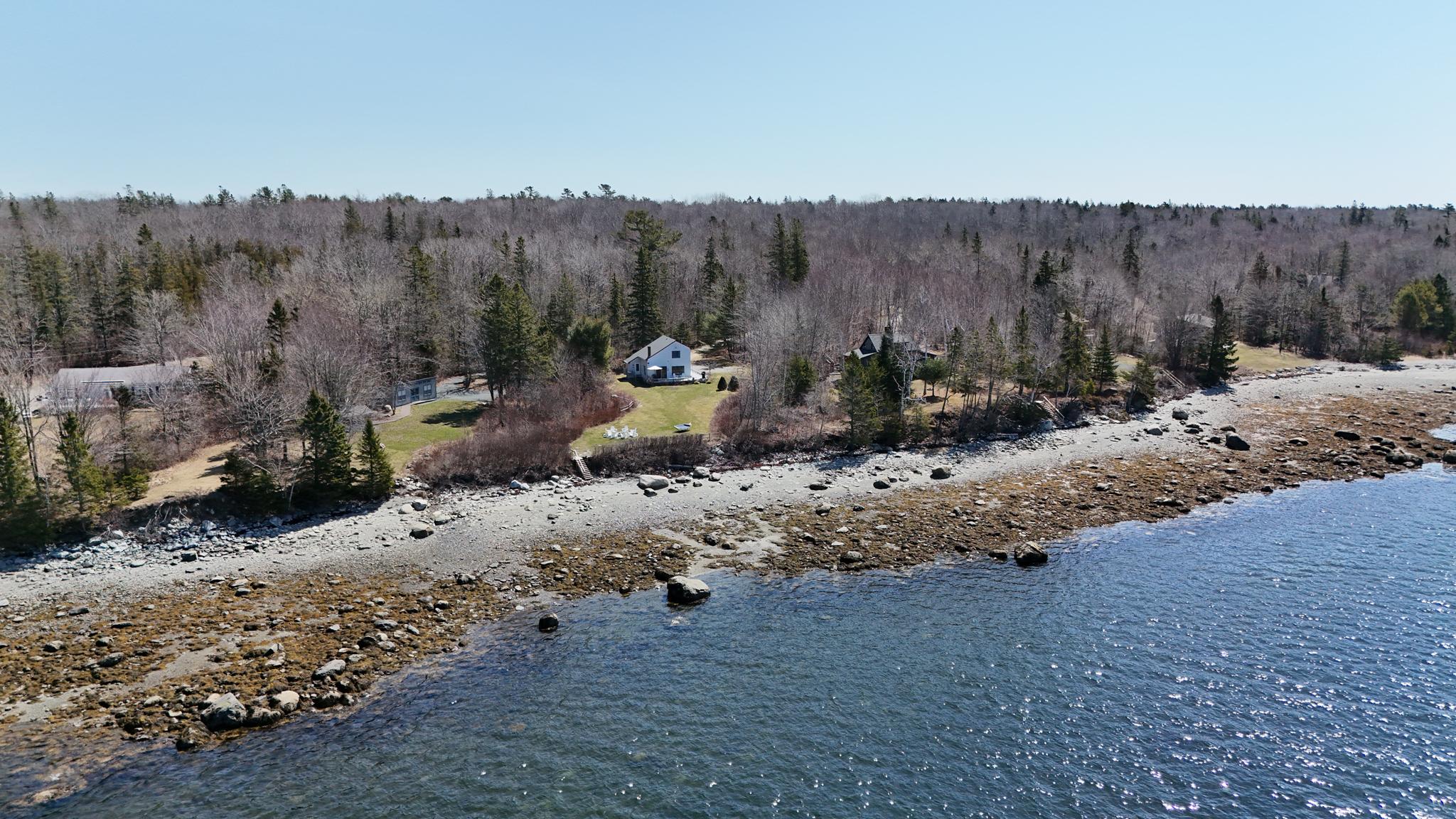Rocky granite shoreline and spruce along coastal Maine