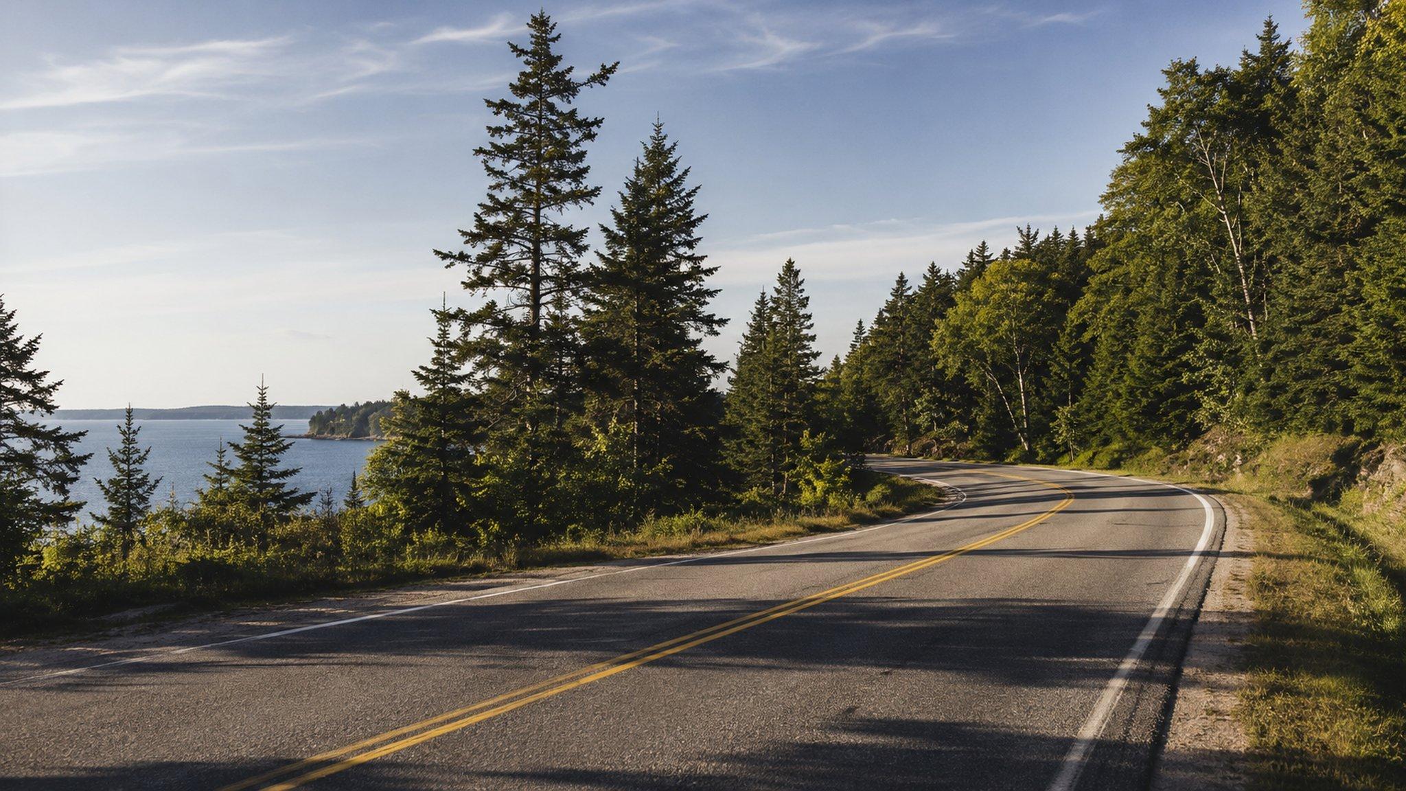 A two-lane coastal road through spruce on the way to Eagles Nest