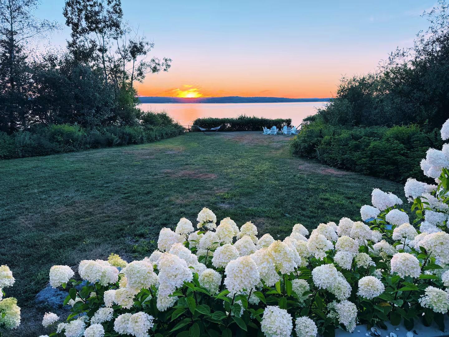 Summer sunset over the bay with white hydrangeas and a hammock along the rocky shore at Eagles Nest