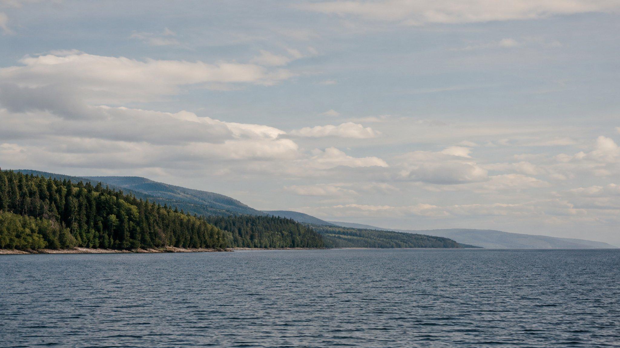 The remote wooded shoreline north of Grand Marais