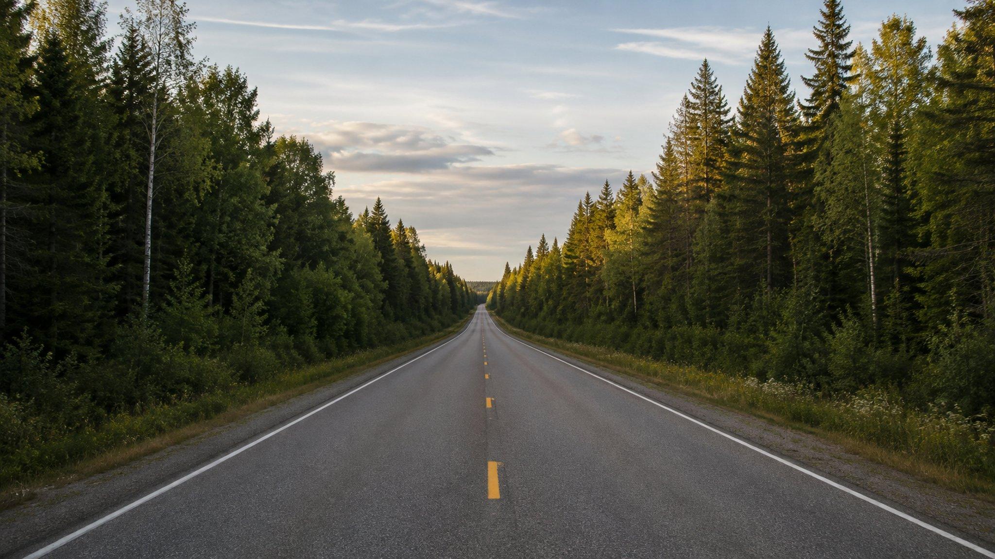 The Gunflint Trail running north into boreal forest