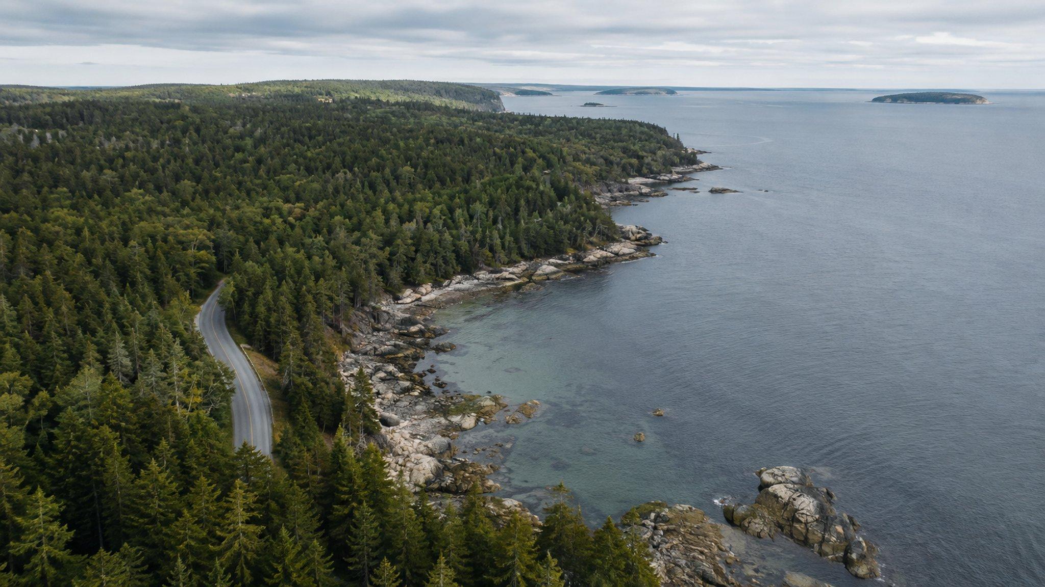 Aerial view of a wooded Maine coastline, a cove and a shoreline road