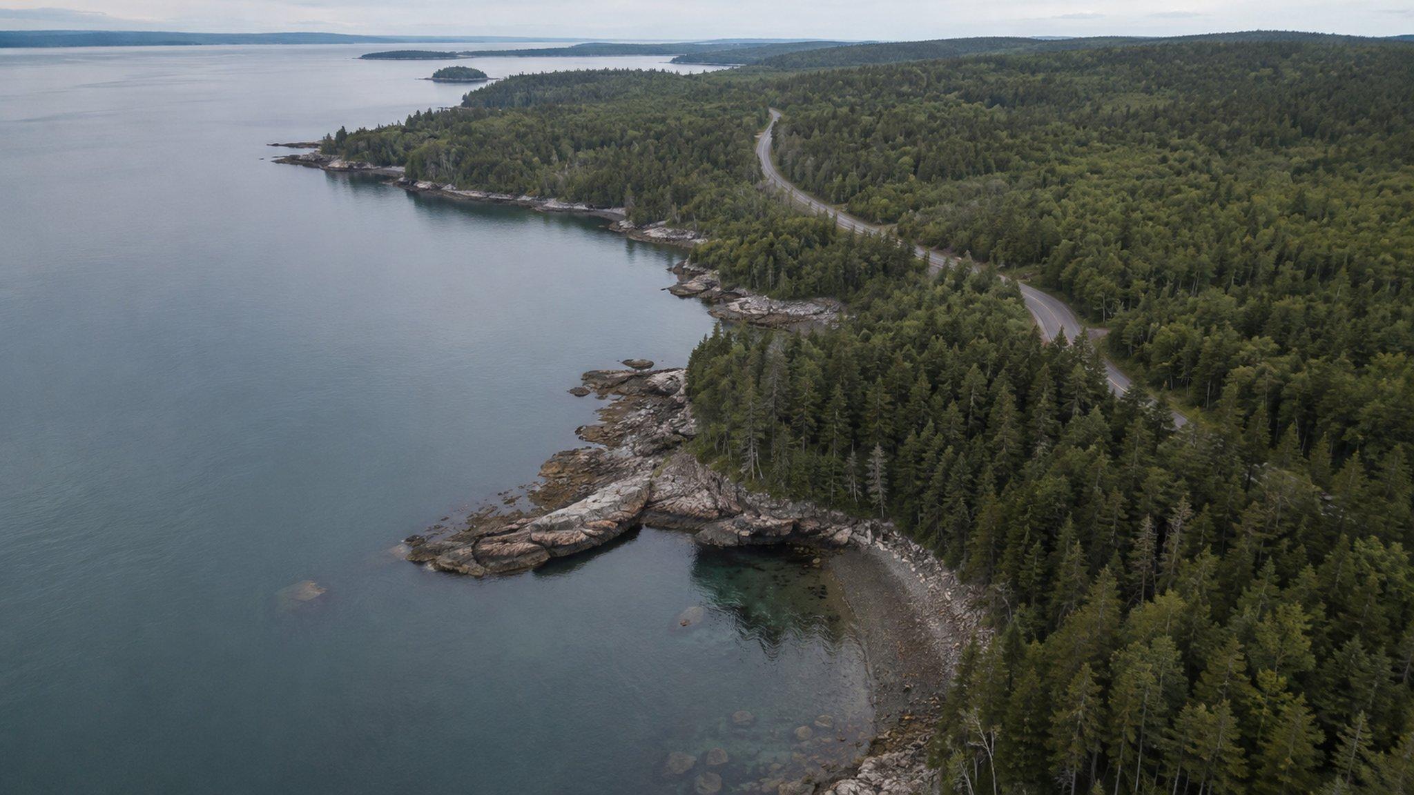 Aerial view of the Maine coastline near Acadia, a shoreline road threading the trees